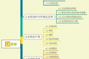 龙华厨师爆料视频大全集,独家爆料视频大全集深度解析