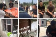 岑前村拆迁爆料事件视频,揭秘事件背后真相