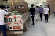 乐亭吃瓜最新事件爆料新闻,最新爆料揭示惊人内幕