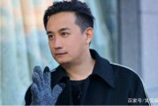 海清被黄磊爆料视频合集,揭秘娱乐圈幕后真相