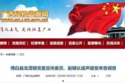 广西最新爆料新闻网,聚焦热点事件，揭秘幕后真相