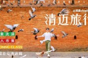 泰国旅游博主爆料事件视频,揭秘背后真相