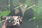 男明星事件爆料视频