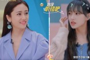 刘芸爆料视频,娱乐圈背后的惊人真相
