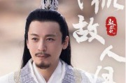 王东妻子爆料王东家暴视频,妻子勇敢揭露家庭暴力黑暗面