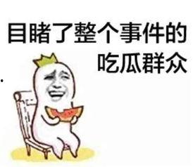 娱乐吃瓜酱过年焦虑等级,娱乐吃瓜酱带你领略不同等级的焦虑狂欢